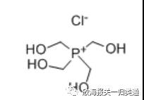 海關預歸類